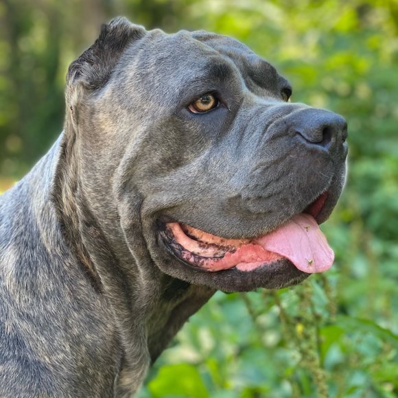 Meet your Posher, Eugenia - Picture 1 of 1